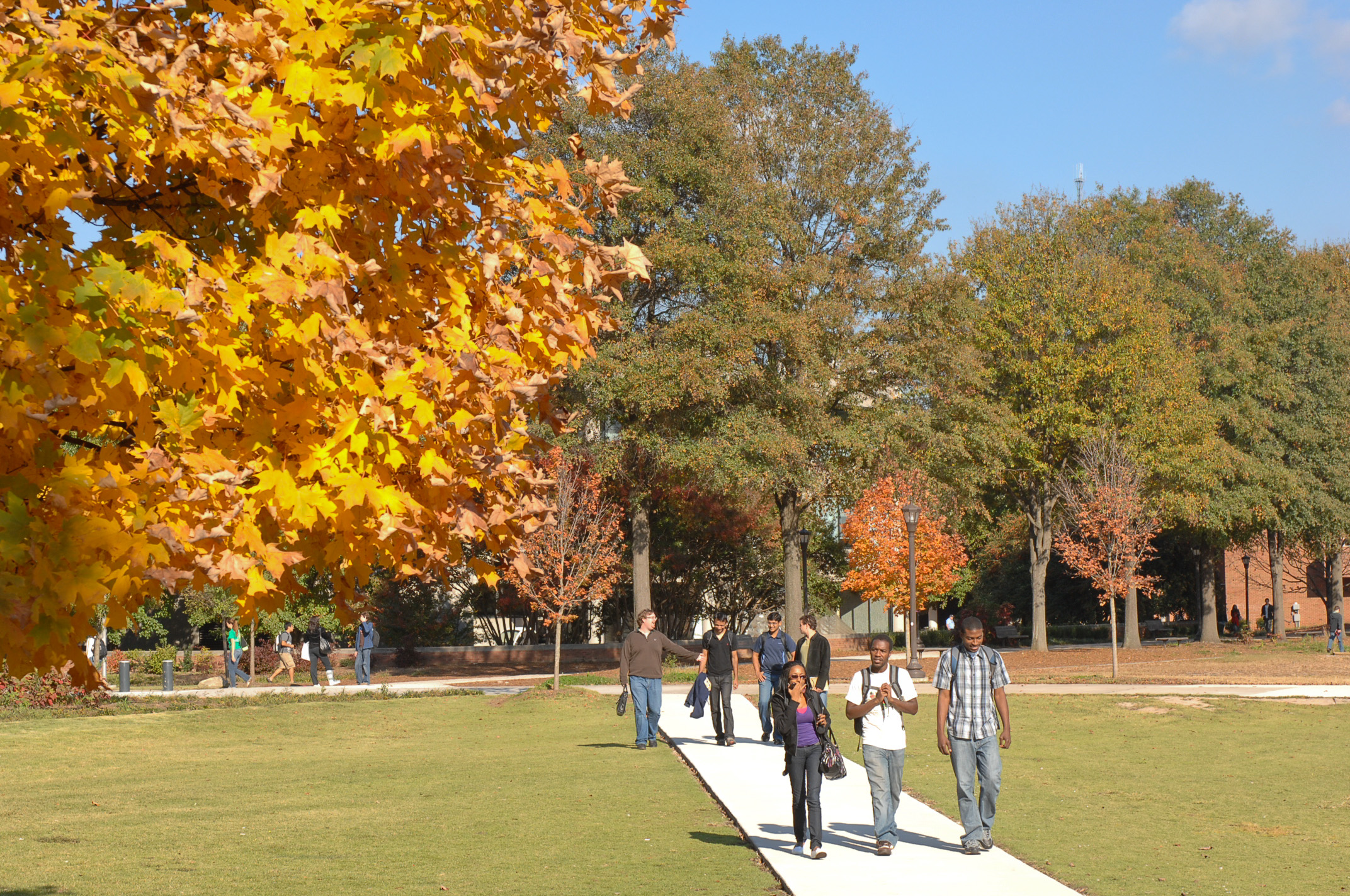 Georgia Tech was one of the first universities to receive the Arbor Day Foundation's Tree Campus USA certification.